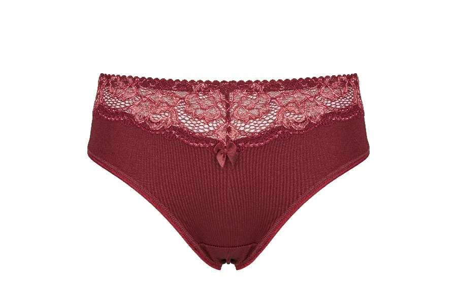 Beautiful female panties burgundy isolated on white background