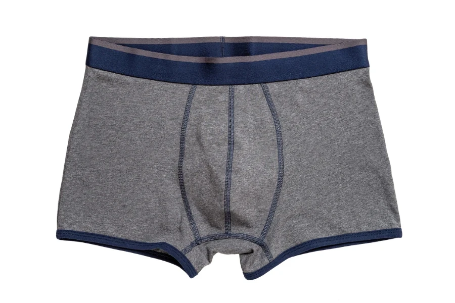 The Comprehensive Guide to Boxer Briefs: Comfort, Style, and More ...