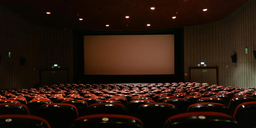 An Empty Cinema