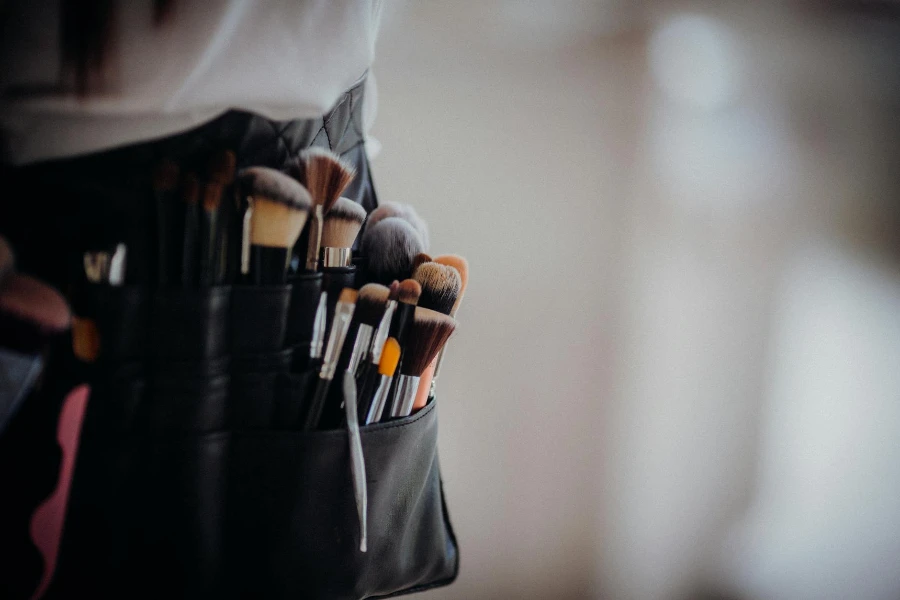 Makeup Brushes in a Bag