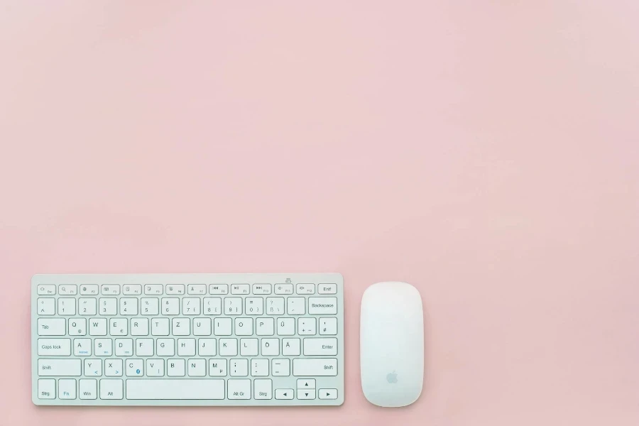 Keyboard and Magic Mouse