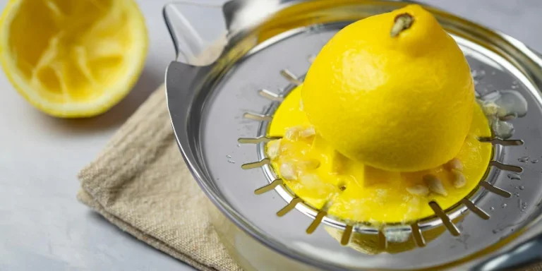 Lemon on Metal Juicer