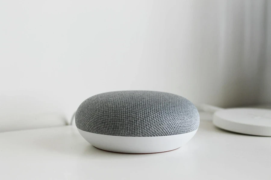 Metallic Gray Speaker on a White Surface