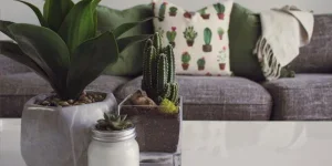 Пышная зелень и изысканная мебель придают жилью шикарный вид.