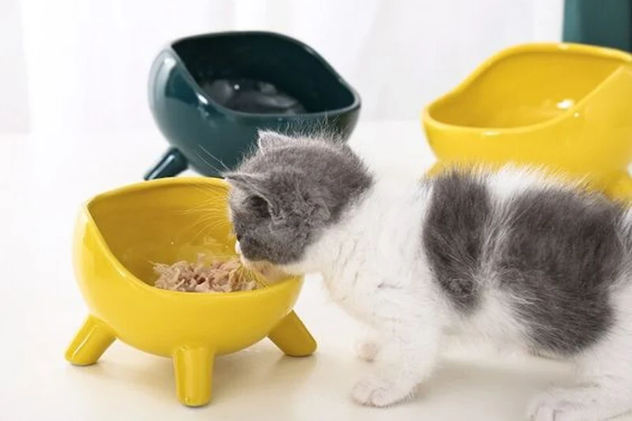 pet bowls