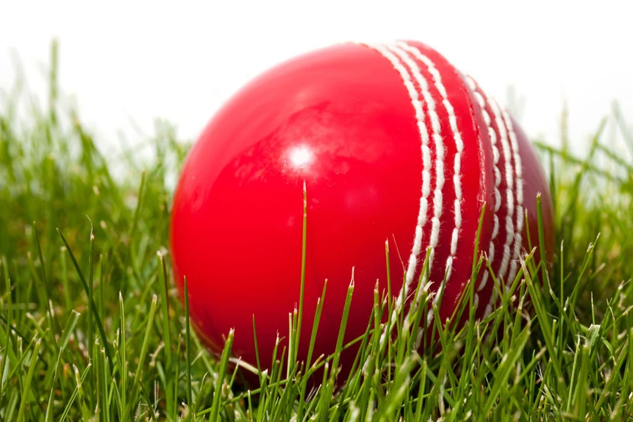 soft cricket ball