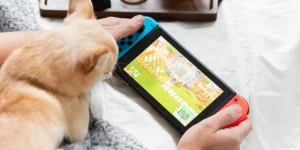 the trendy video games and accessories
