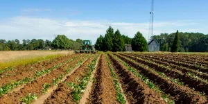 traktor bekerja melalui ladang dengan penggarap anakan terpasang