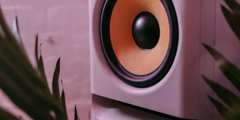 A Close Up Shot of a Subwoofer