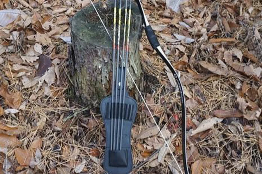 A quiver near a bow on a rock