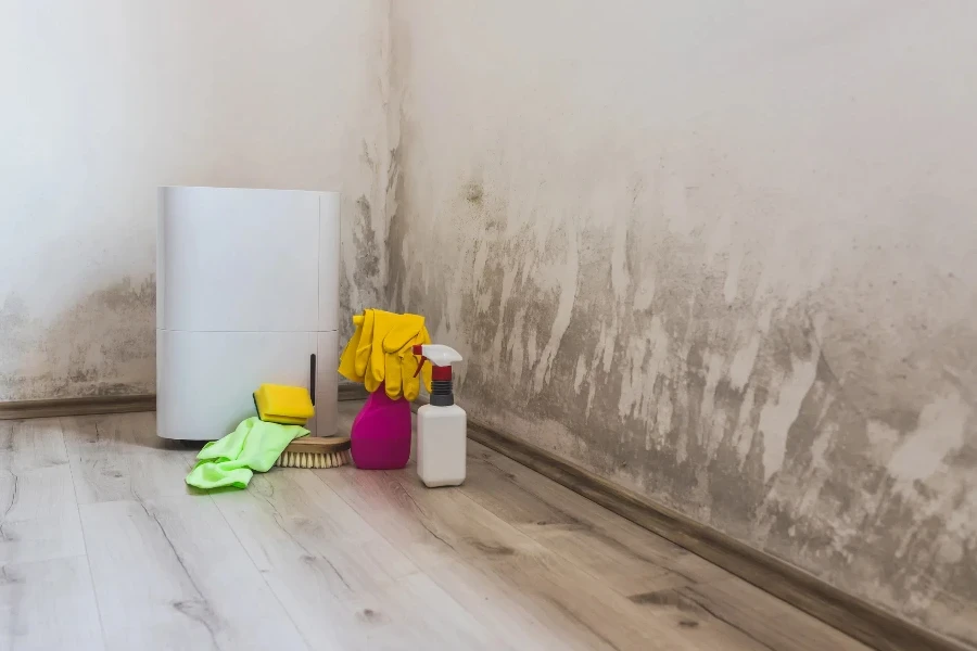 Black mold in the corner of room wall, dehumidifier and spray bottle with mildew removal products