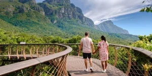 Boomslang walkway in the Kirstenbosch botanical garden in Cape Town
