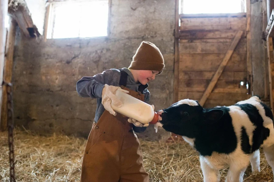 Boy wearing salopettes in a farm