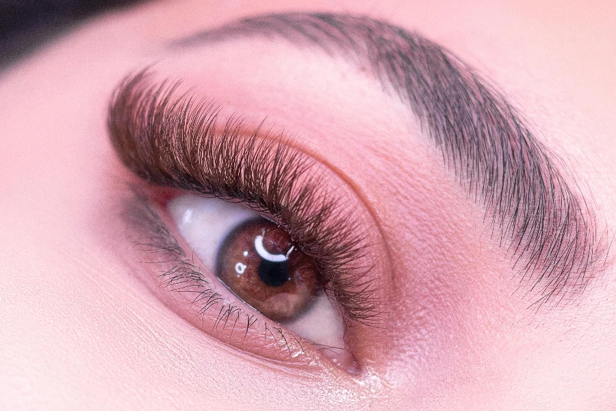 Close up of Woman Face and Eye