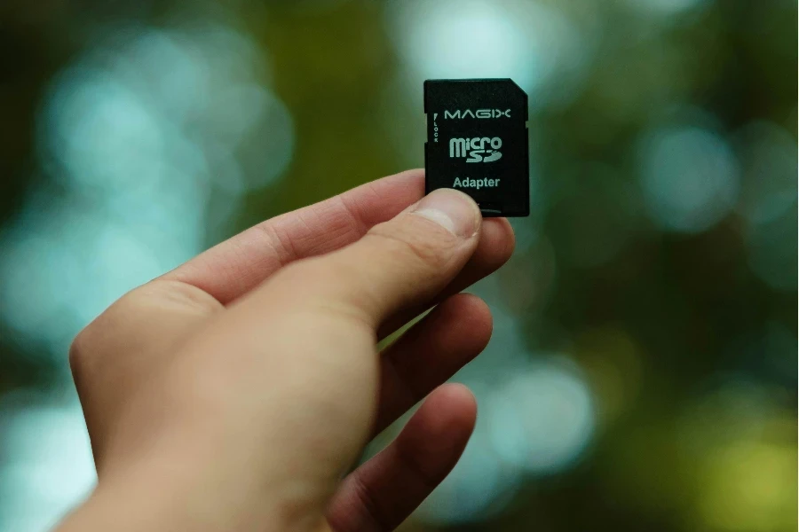 Crop person holding modern memory card against lush green trees in sunny park