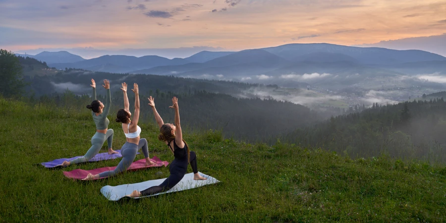 Fitness young women in sport clothes doing yoga exercises among green nature