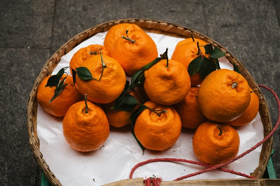 Free stock photo of arrangement, autumn, basket