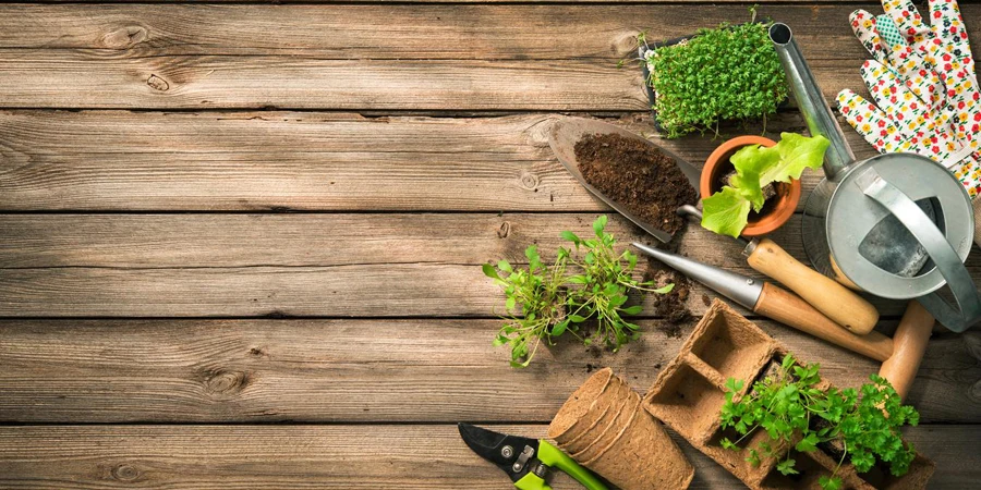 Gardening tools, seeds and soil on wooden table