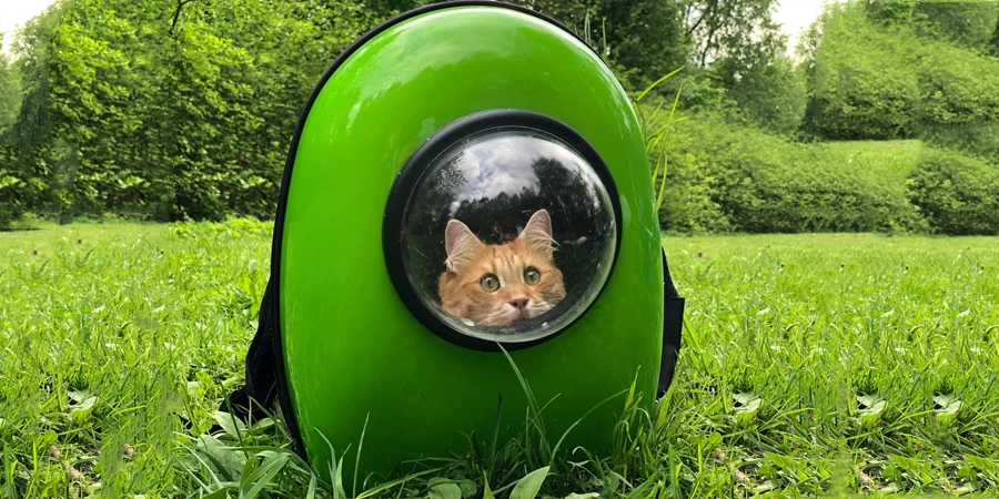 Photo of an Orange Tabby Cat in a Green Cat Carrier