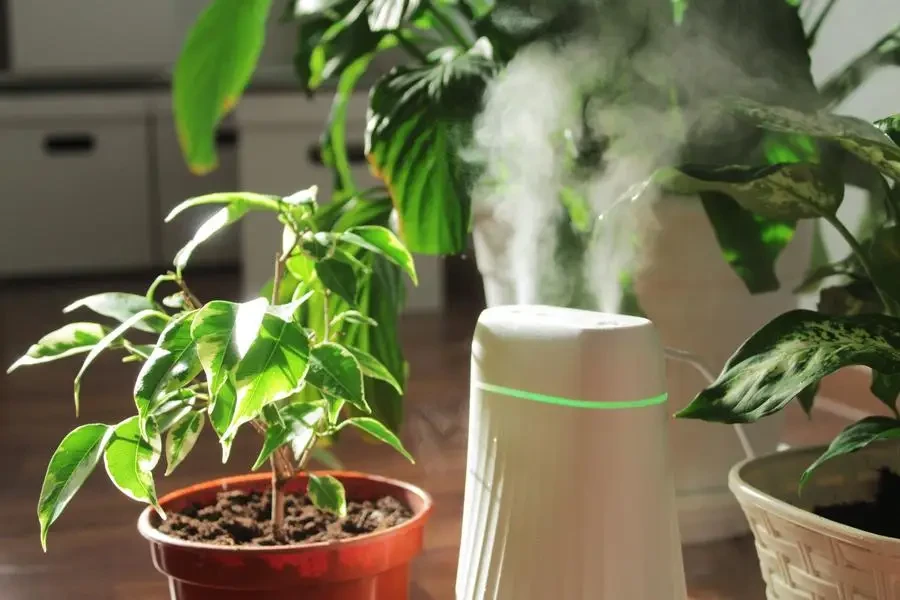 Plant humidifiers come in various shapes and sizes, each designed to cater to different needs and spaces