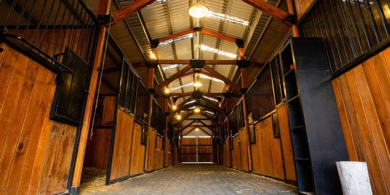 Rustic Wooden Horse Stables