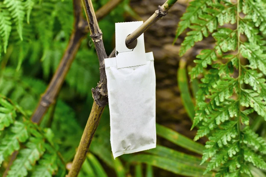 Sachet with beneficial predatory mites used for pest control attached to plant