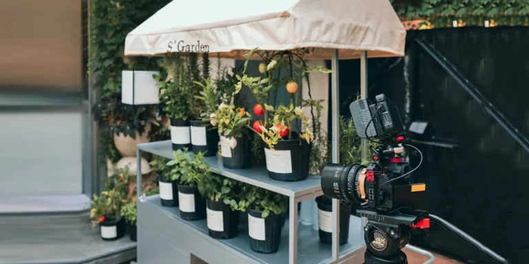 Shelves filled with flower pots