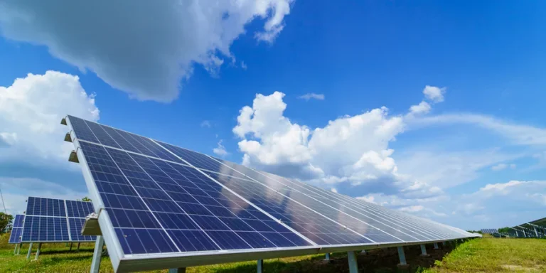 Solar panels field for electricity