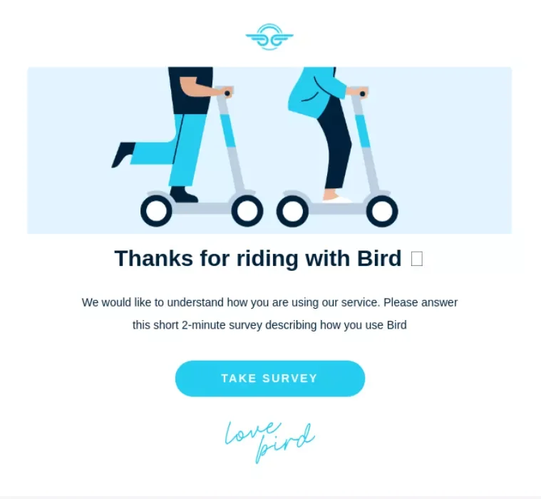 Survey email example from Bird