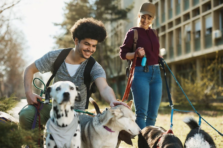 Two young people walking  dogs