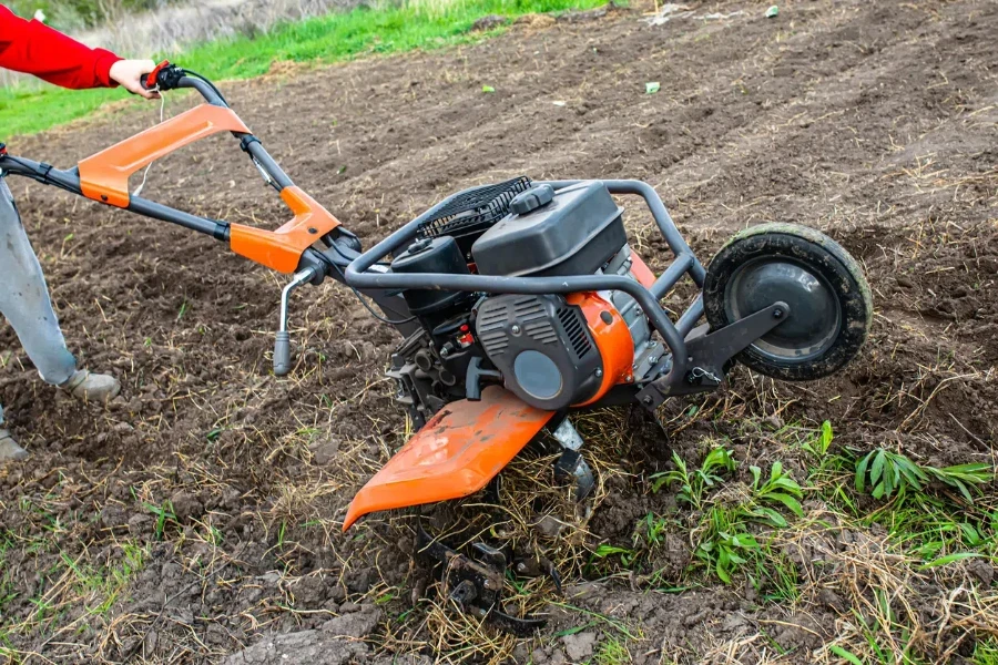 Work on the field of a home farm