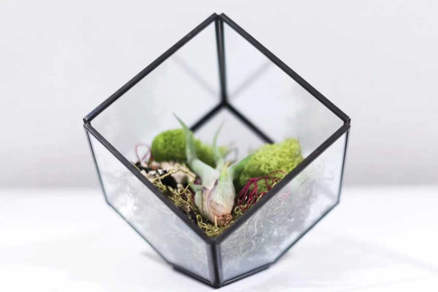 A glass cube vase with flowers