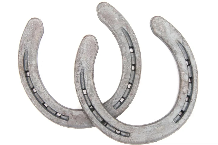 a pair of horse shoes.