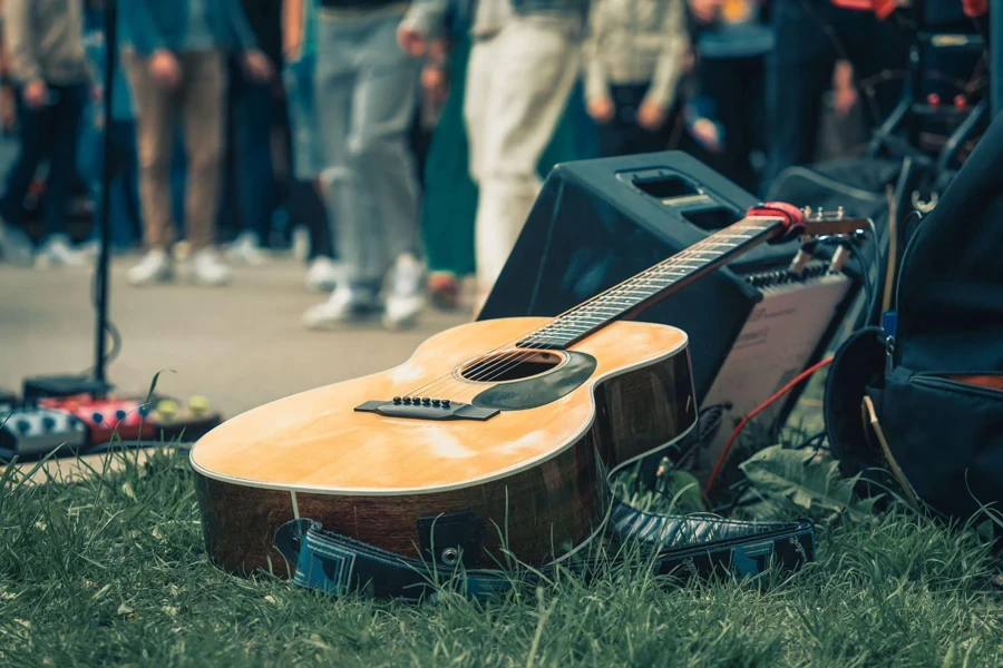 acoustic guitar