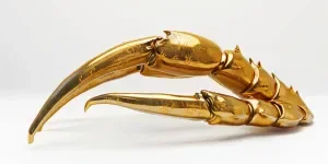 A golden excavator crab claw