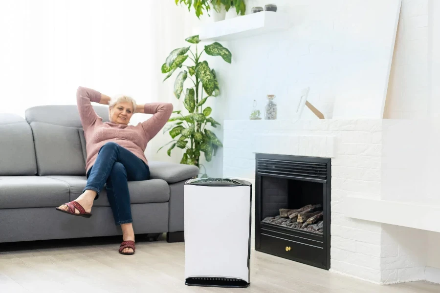 an elderly woman uses a dehumidifier