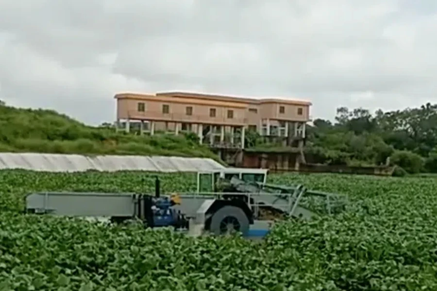 aquatic harvester at work on a weed-congested river