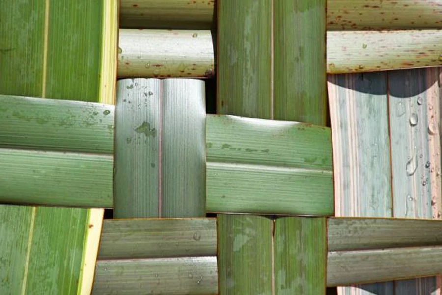 bamboo viscose