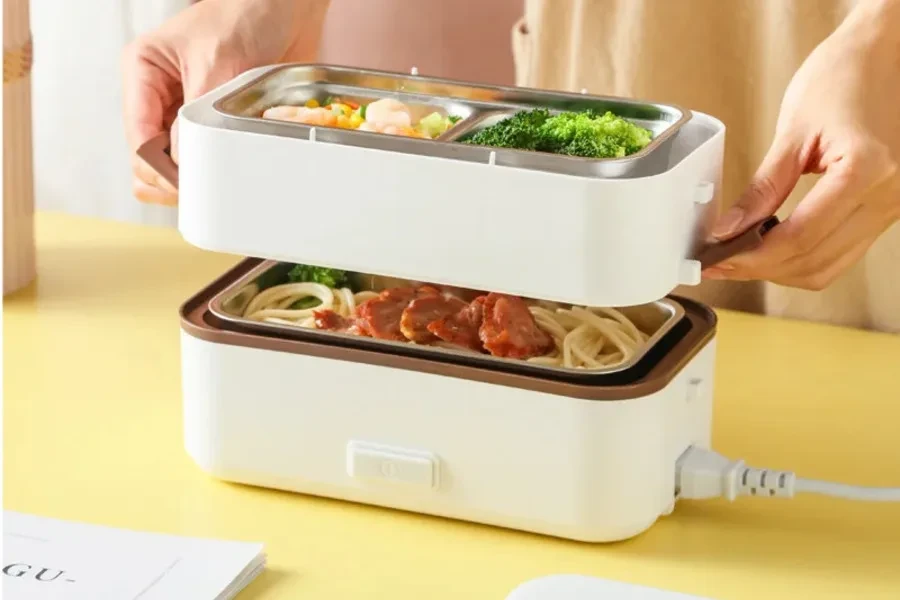 Double-layer electric lunch box