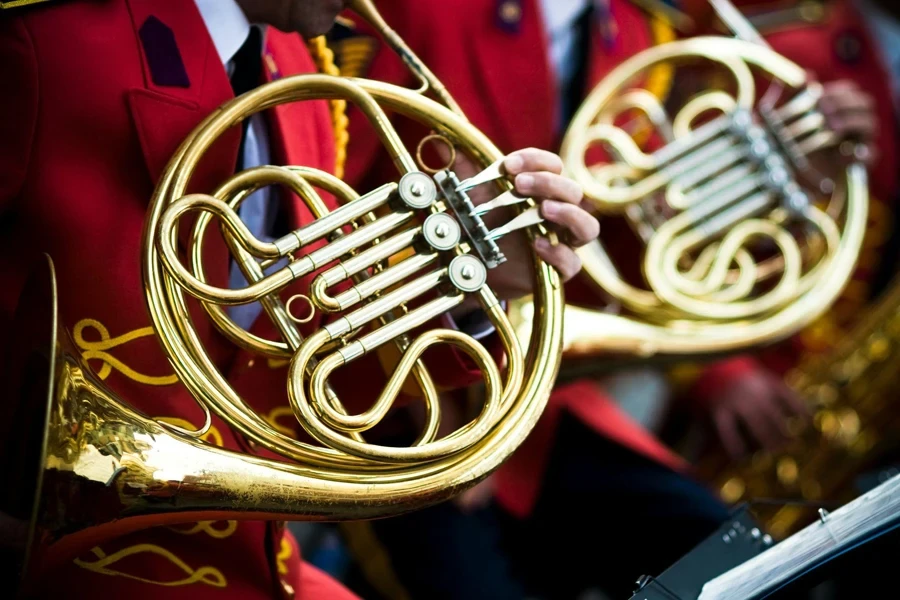 honour guards with horns