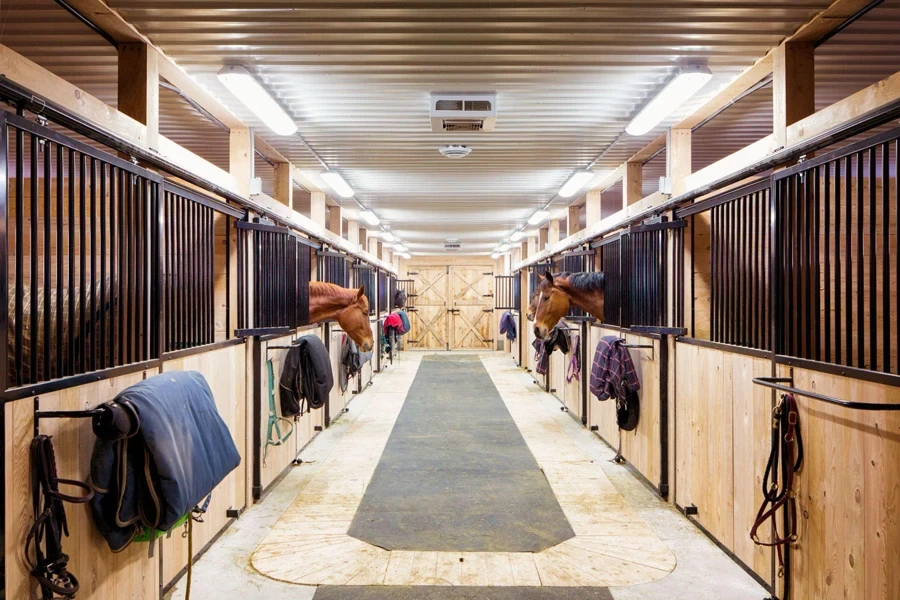 horse stalls