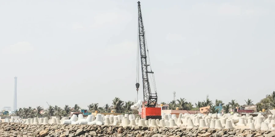 A crane is on the beach near a large rock