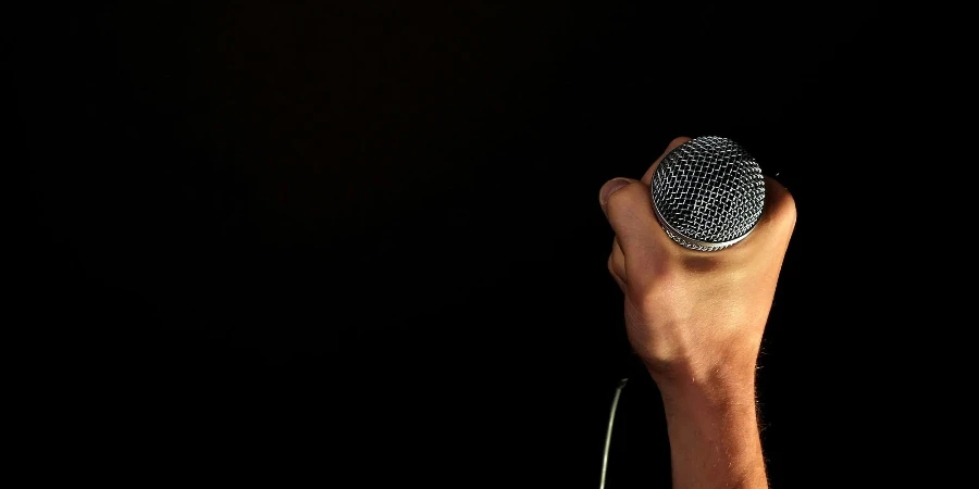 Person Holding Microphone