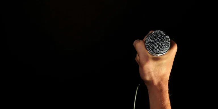 Person Holding Microphone