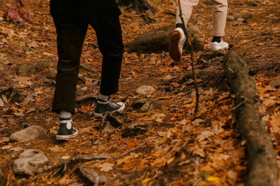 persons walking on fallen yellow leaves in forest