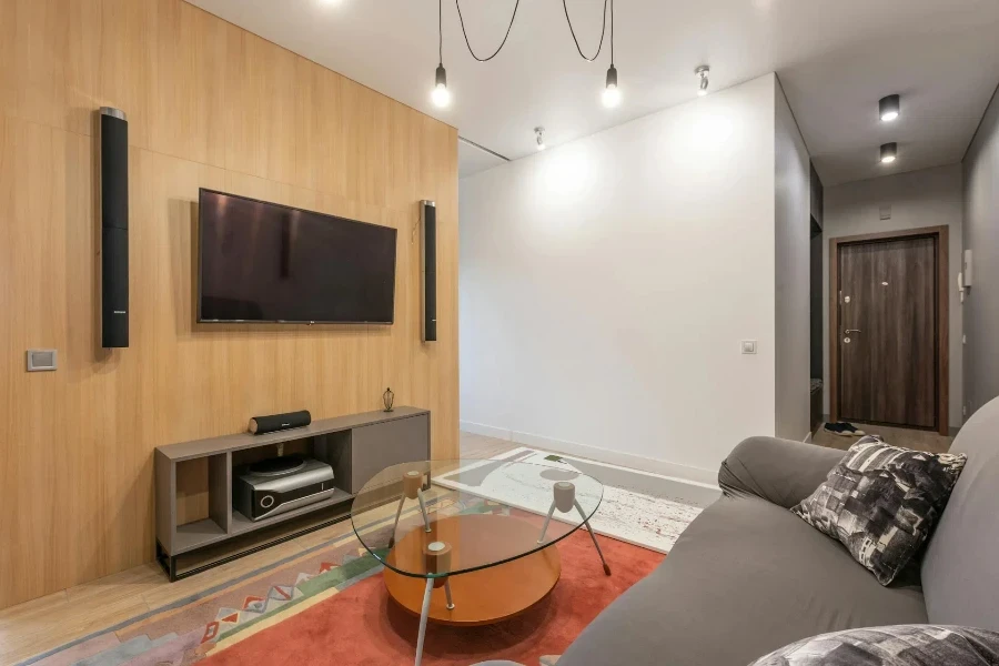 Living room interior with sofa near TV and table