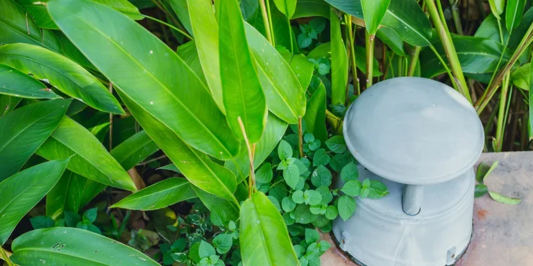 outdoor loud garden speaker sound music in backyard