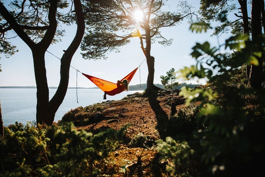 portable hammock