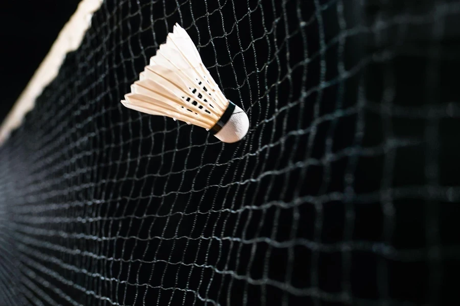 shuttlecock on the net