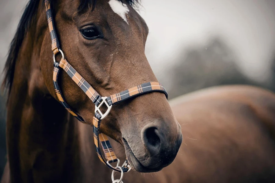 synthetic halter